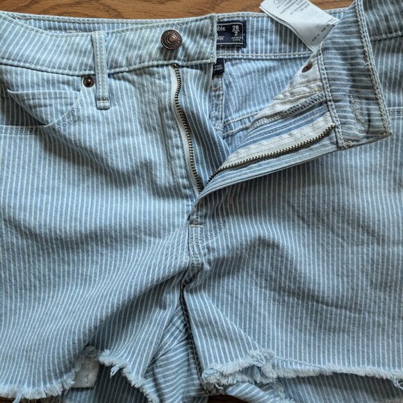 Abercrombie Pinstripe Blue Shorts - Picture 2 of 4